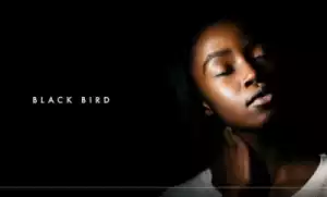 Dennis Cruz X Ian Ludvig - Black Bird (Original Mix)